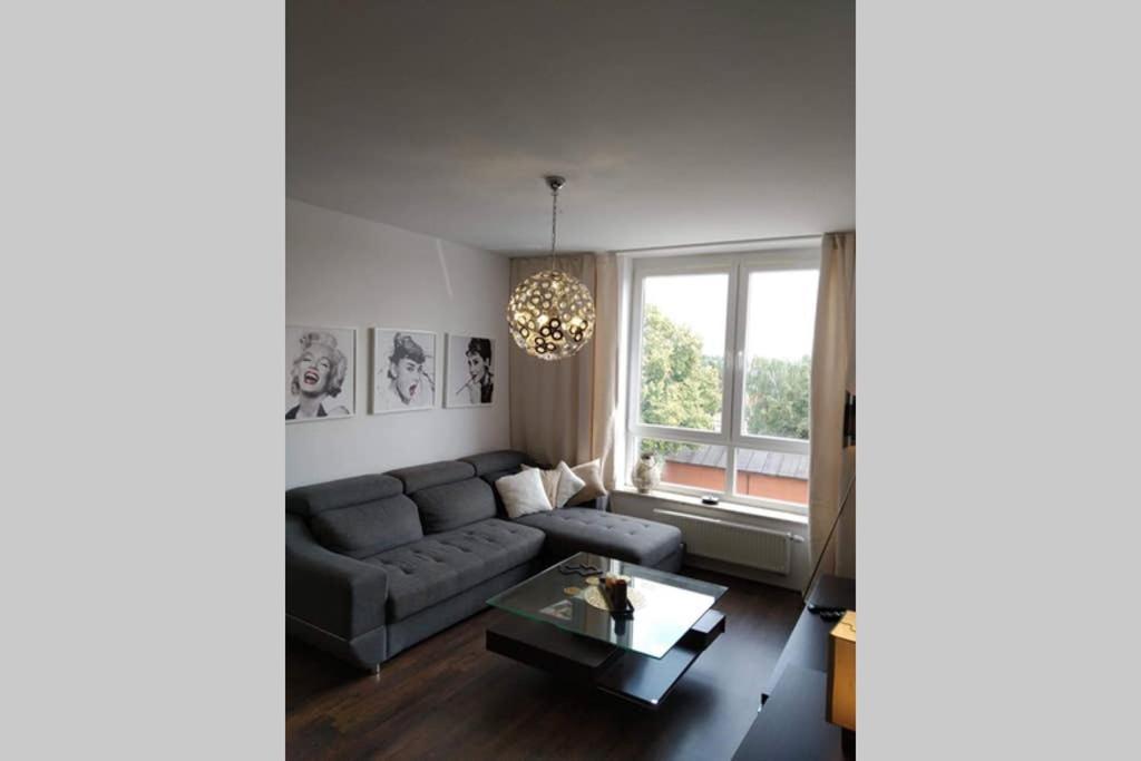 Sunny Penthouse With Roof Gardens Overlooking The Warsaw Palace Of Culture Pruszkow Exterior photo